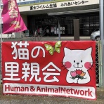 三度の飯＜犬と猫