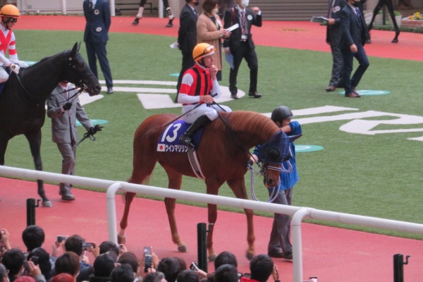ゆきぞうと愛馬たちの自転車操業中 ラフィアン