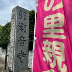 三度の飯＜犬と猫