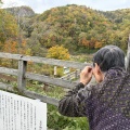 秋の楽しみ
