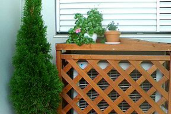 コニファーエメラルド ニオイヒバ 不調により植え替え Kochan S ベランダ菜園blog マンションガーデニング 家庭菜園 仙台グルメ キャンペーン情報等