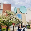 4月9日（木）の花🌸三昧•4…造幣局桜の通り抜け2