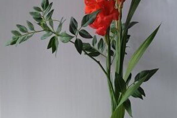 しょうけい花倶楽部 21年06月