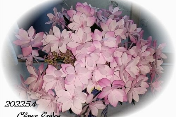 早起きは三文の徳 得 ダンスパーティーとの出会い 紫陽花 チャンスの輪 Byチャンス企画