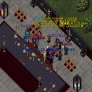 2月のEMイベントと評議会