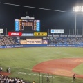 神宮の三塁側が揺れた夜――阪神6得点の快勝を現地観戦！