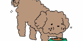 【嫁の料理】この間の焼きそば、今日のちゃんぽん共に麺が切れている