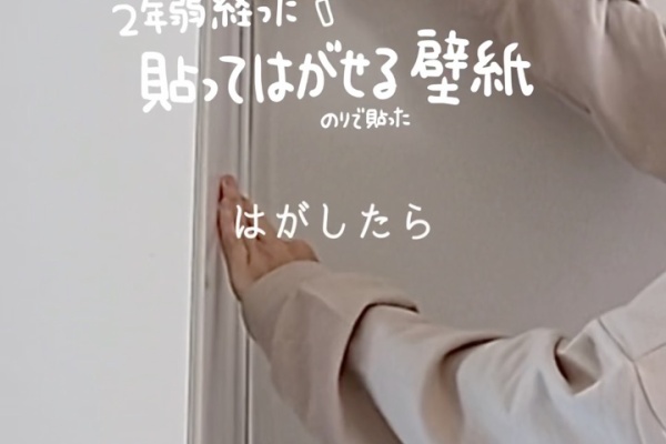 えはみのdiyと暮らしブログ 原状回復記録 Powered By ライブドアブログ