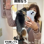 ガオだらけな日々　