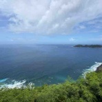 小笠原父島　オガツアーのブログ３