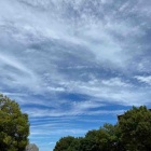 『土曜日の南大沢』の画像