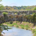岩本橋とこいのぼり