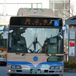 『かわいい運転手　横浜市交通局「はまりん」』の画像