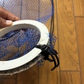 釣ったタコを入れる網