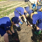 三田市のボーイスカウト　元気いっぱいの活動記録