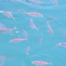 冬至に現れた吉兆⁈