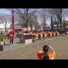 『2018/3/11　府中郷土の森博物館　開館３０周年記念　梅まつり』の画像