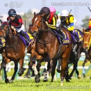 【競馬】もうすぐ桜花賞: 今年の勝者は誰だ！？レースの行方を大胆予想