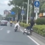 バイク速報