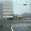 昨日は雪で中止に