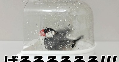 ぼくは世帯主だから