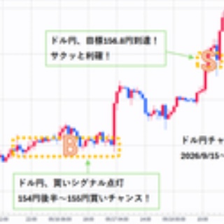 為替王