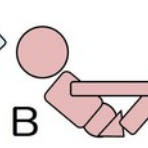 ヨガスペース PaPas-パパス-　ヨガ×リハ広報室