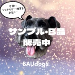 オーチャンネル☆