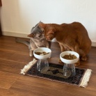 横取りひめちゃん