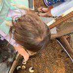 めだか子供の家☆日記☆