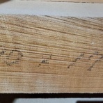 本物の無垢木材　～茨木市戸田材木店・セルバの木の虫ブログ～