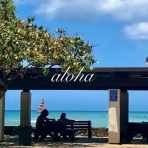 のほほん〜ハワイひとりごと♪