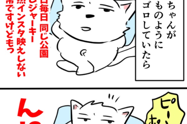 ちーちゃんっ? - わんちゃんほんぽ