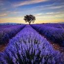 なんとかなるさ