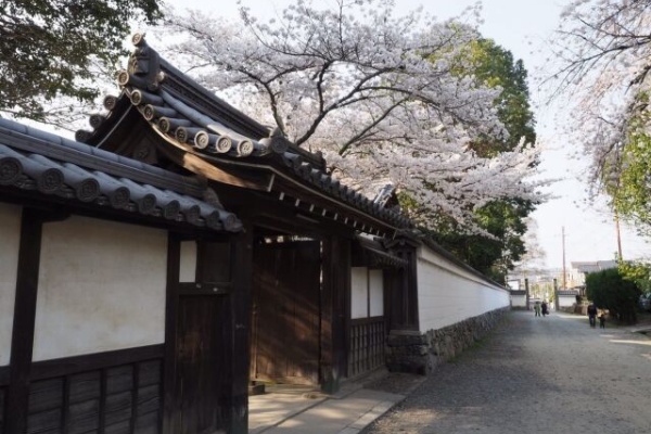 婚活するヒロインたち 結婚に役立つ名作案内 ｢若草物語｣「細雪 