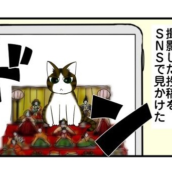 断捨離って、だいたい捨ててから使いたい時が出て来る説