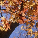 闇を超越する意識：統一