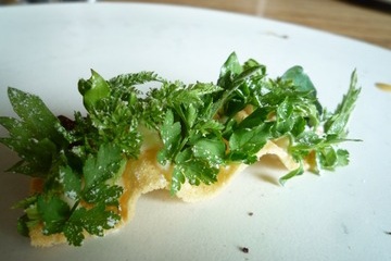 【6/22未明現在】6/23（月）Noma Tokyo予約について現状で判明していることまとめ。