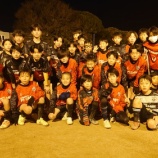 『いいトレーニングでした!』の画像