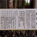 5/30～6/2間で、ノンビリと「七面山〝敬慎院・奥の院〟」に参詣でした(11)