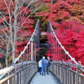 紅葉狩りドライブ🍁紅の吊橋...他