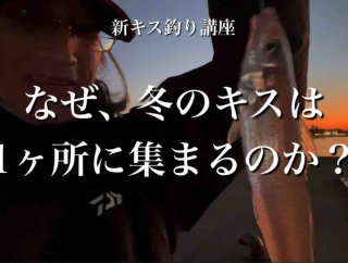 【12.6須磨】なぜ冬のキスは1か所に集まるのか？