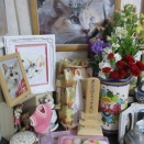 😽羽舞の月命日＆ぬい活（🌸お花見）