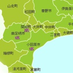 三度の飯＜犬と猫