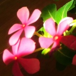 『光マイクロバブルの「ZERO to ONE」(6000回記念)(2)』の画像