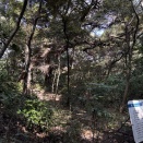 〈ぶらり関東の城・53〉自然教育園内にある白金長者屋敷へ！ その後は東京ドームでベイCS観戦！
