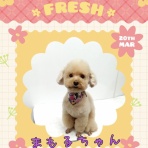 日々、ＪＡＭにあり