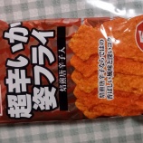 �إ����뿩��Ķ�ɤ����ѥե饤�٤β���
