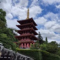 高幡不動様におまいり　夜はNHK交響楽団Bプログラム