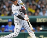 藤川俊介(30) .312(186-58) 4本 23打点 OBP.344 SLG.468 OPS.811 国内FA取得